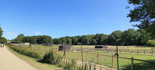 Hainault Forest Car park - Lambourne End - Thumbnail