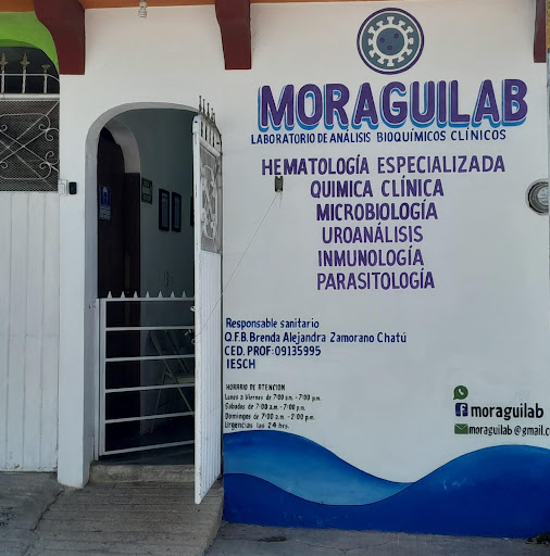 Moraguilab - Visual