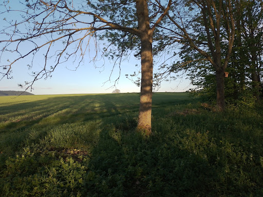 Eichelsee Mainbernheim - Thumbnail