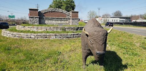 Buffalo Statues - Thumbnail