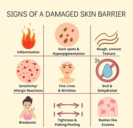🌿 Signs of a Damaged Skin Barrier — Consult the Best Dermatologist in Jaipur! post image