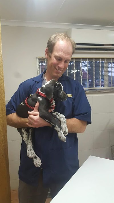 Photos of St Francis Veterinary Hospital Edenvale and Modderfontein