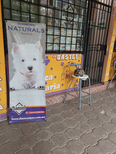 Veterinaria BASTET