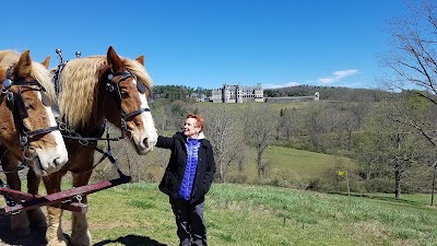 Photos of Biltmore Estate Carriage & Trail Ride Barns