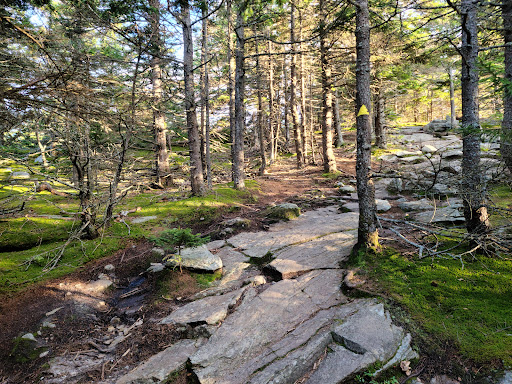 Wapack National Wildlife Refuge - Thumbnail