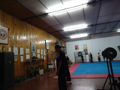 Escuela Internacional de Kung Fu - Wu Shu Tian Kung Chien, Author: Sergio Luján