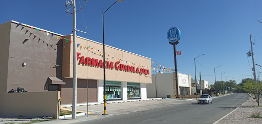 FARMACIA GUADALAJARA PIRÁMIDES