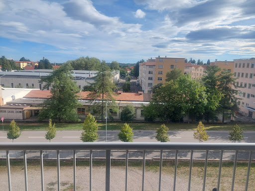 "Carlo Cattaneo" University College