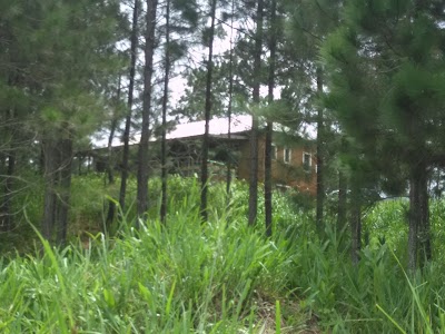 Photos of Forestry Department