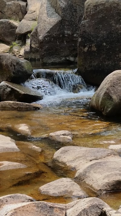 Bloomfield Campground