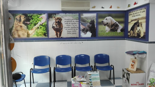 Clínica Veterinaria Pontes - Thumbnail