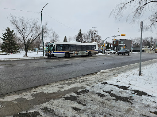 Regina Transit System - Visual