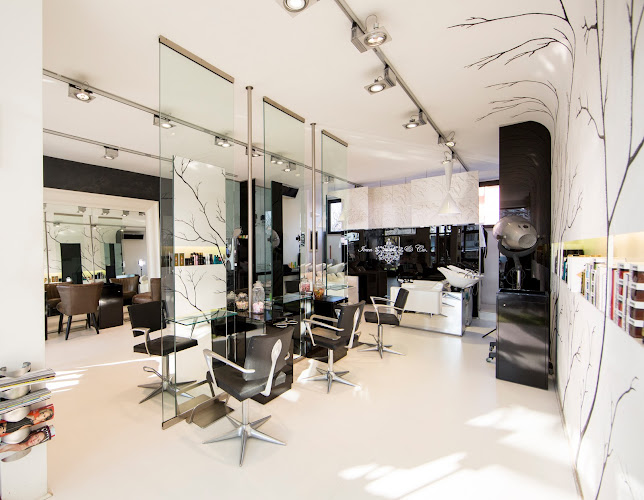 IVAN di Ivan Puccetti