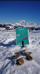 Photo n°22 de Bar à Huîtres à l'Espérance à Douai (Bar à vin)
