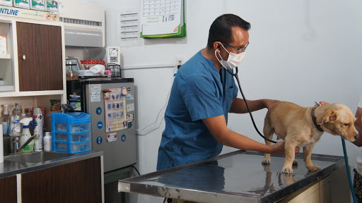 Centro Veterinario Acueducto