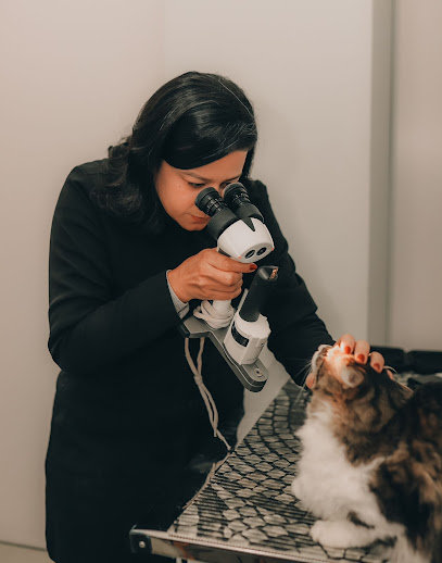 Priscila Santos | CENTRO DE OFTALMOLOGIA VETERINÁRIA em Erechim - RS