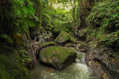 Photos of Sacred Monkey Forest Sanctuary