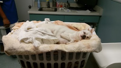 Photos of Washington Dog & Cat Hospital