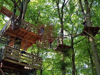 Photos of schnurstracks Aktiv GmbH - Kletterpark Sachsenwald