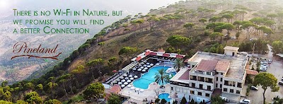 Photos of Pineland Hotel and Health Resort