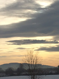 Photo n°4 de Chambre d'hôtes LA FIGUALIERE à La Murette (Chambre d'hôtes)