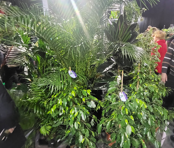 Comentarii opinii despre Targi w Krakowie Sp. z o.o.