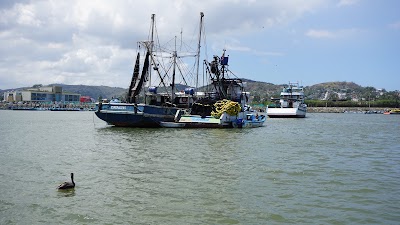 Photos of Puerto Pesquero de Esmeraldas