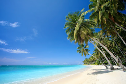 Blue Sky Travel