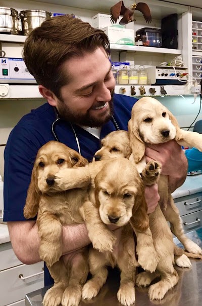 Photos of Parsa Pet Clinic
