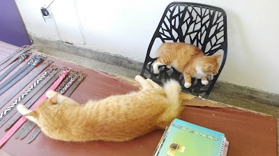 Photos of Charlie's Pet Care