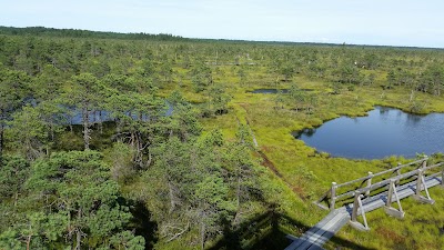Photos of Kemeri National Park Fund