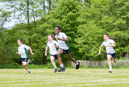 Wellesley Prep School - Visual
