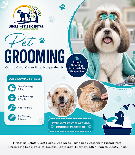 Bhola Pet's Hospital offers comprehensive pet grooming services at our state-of-the-art animal ho… post image