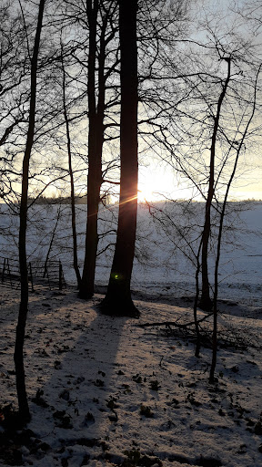 RuheForst Panker/Ostsee - Thumbnail