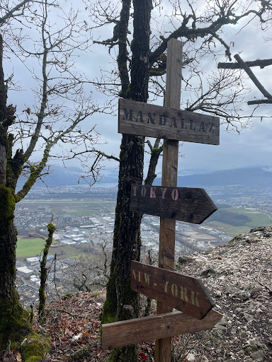 Tête de la Mandallaz Gallery - France