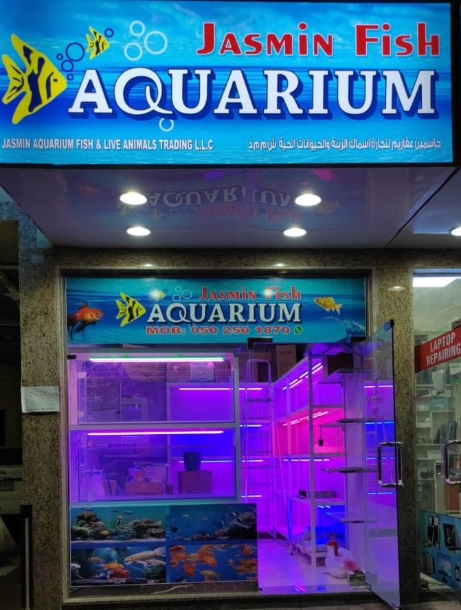 Tamam aquarium - صورة 5