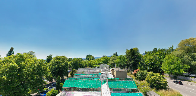 Sukkulenten-Sammlung Zürich Öffnungszeiten
