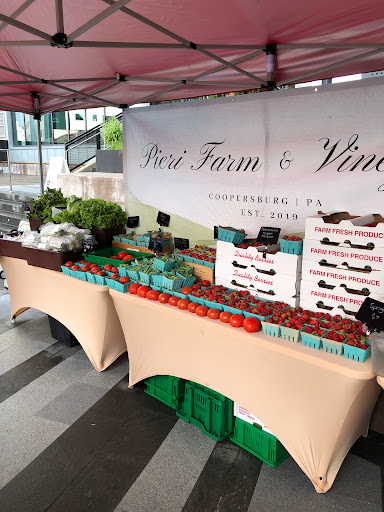 Conshohocken Farmers' Market Gallery - United States