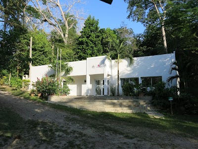 Photos of Cartagena Botanical Garden "Guillermo Pi&ntilde;eres"