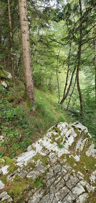 Sorgente del Cellina