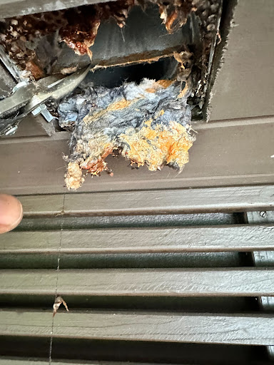 Dryer Vent Wizard of Weston - Thumbnail