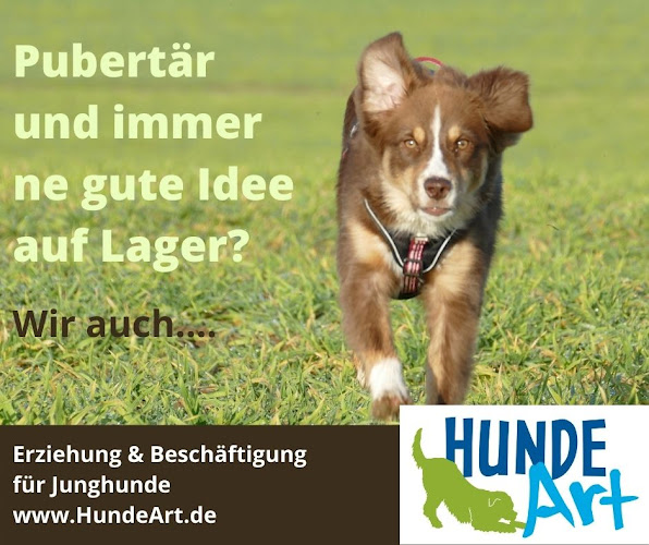 HundeArt Hundeschule Burga Torges Hilden Düsseldorf