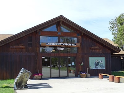 Grizzly & Wolf Discovery Center