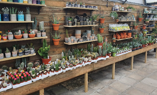 St Austell Garden Centre Gallery - United Kingdom