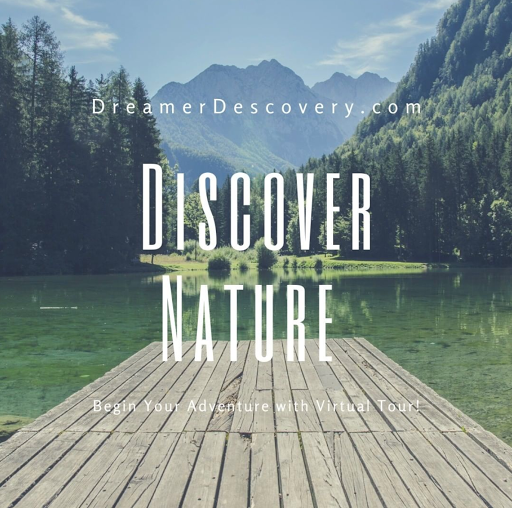 DreamerDiscovery