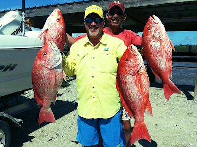 Bite Me Sportfishing, Venice Louisiana