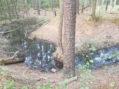 Congaree Creek Heritage Preserve