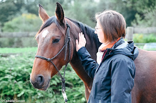 Photo n°5 de H2C Carrières | Cabinet de recrutement sur Caen à Sallenelles (Centre de formation)