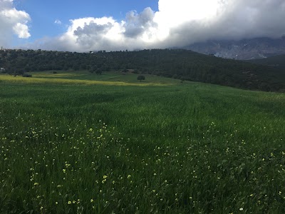 Photos of Complexe Hotelier TIKJDA