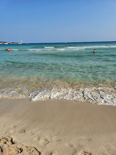 Camping Soleado - Visual